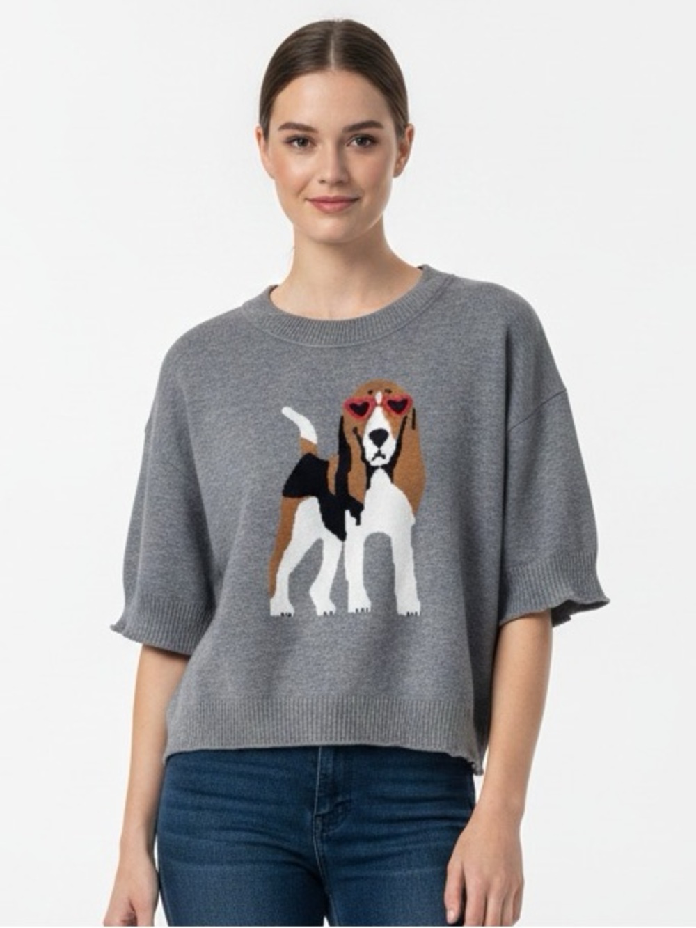 Calligraphie Beagle Dog graphic Novelty Sweater Short sleeves Gray Boxy Knit L
